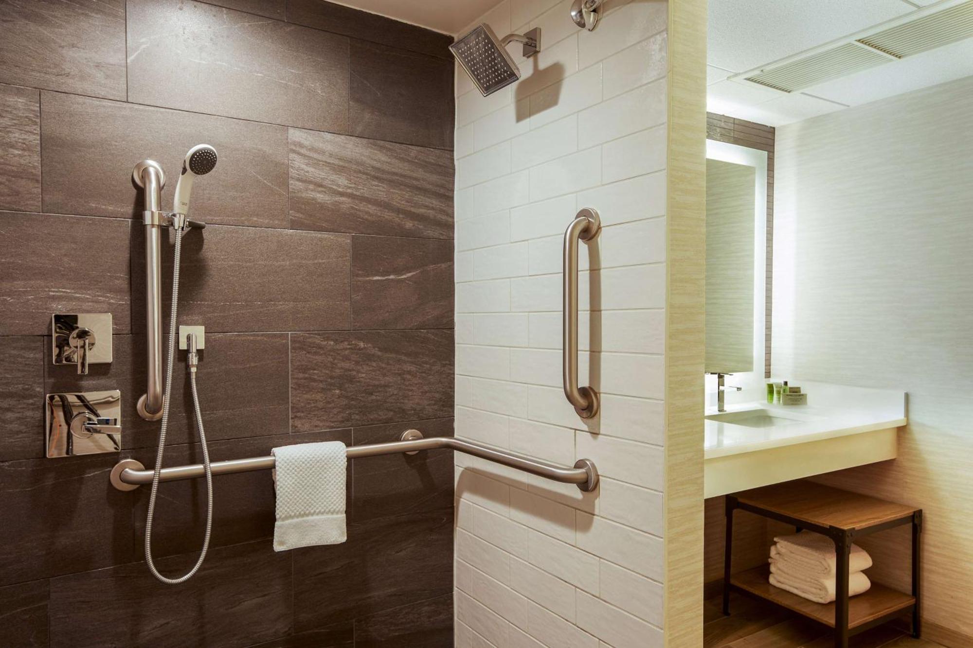 King Room Transfer Shower Mobility Access