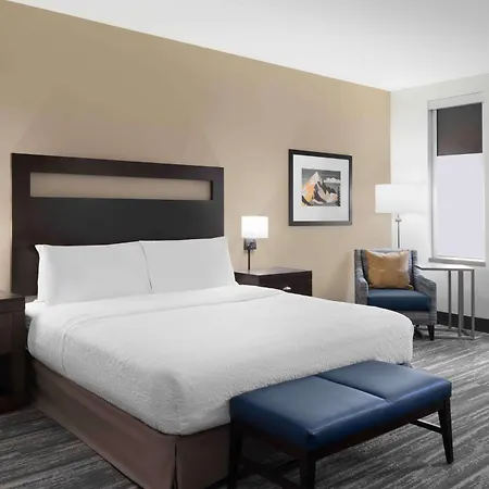 Hampton Inn & Suites Denver Downtown Convention Center-3